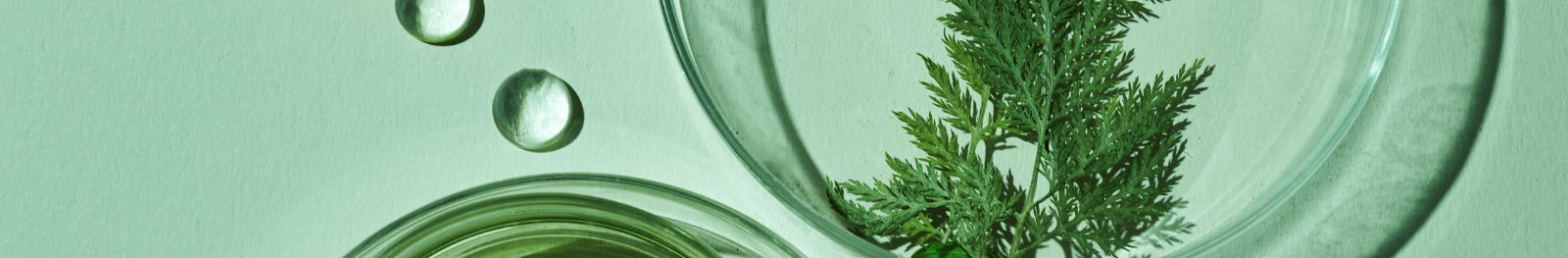 formule engagé, vegan,