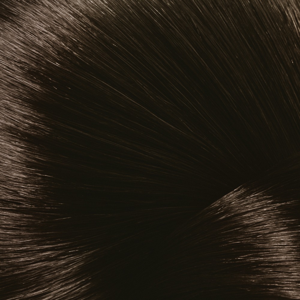 3. CHÂTAIN FONCÉ Eugène Color